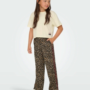 553098384_1486283512415840_9029670854504738460_n