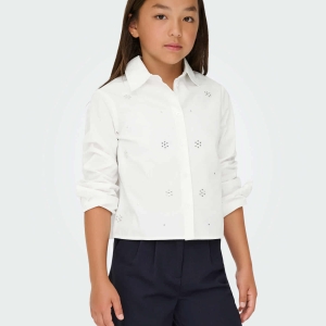 553807371_2016868902422927_5634438733070747264_n