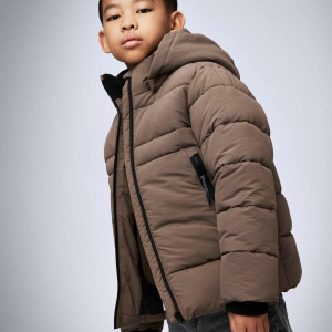 553727619_2306482836450390_8409572152226932443_n