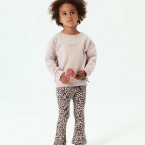 558002744_746610371743163_616329362985903523_n